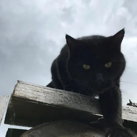 Pauraria Puntetta Appartement Müstair