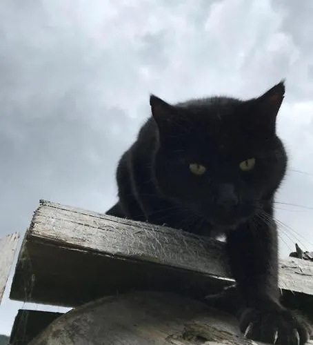 Pauraria Puntetta شقة Müstair