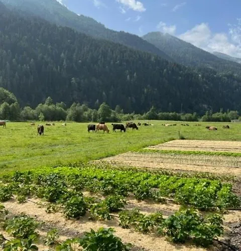 شقة Pauraria Puntetta