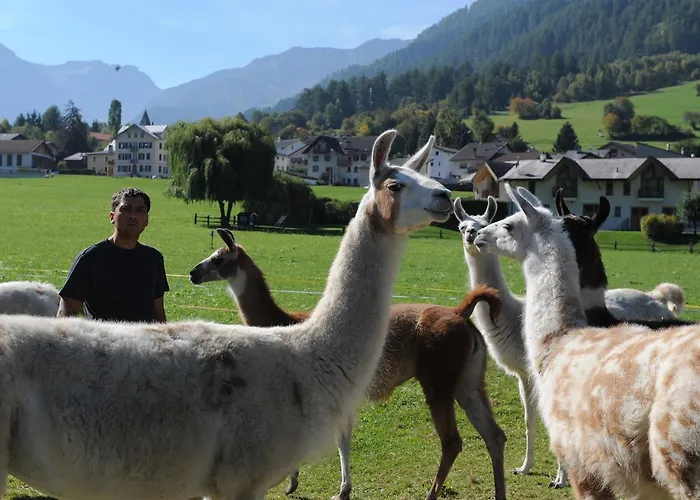 Apartman Pauraria Puntetta Müstair