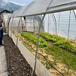 Pauraria Puntetta Appartamento Müstair