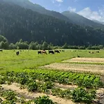 Appartamento Pauraria Puntetta