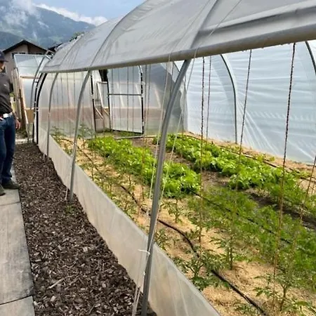Pauraria Puntetta Daire Müstair