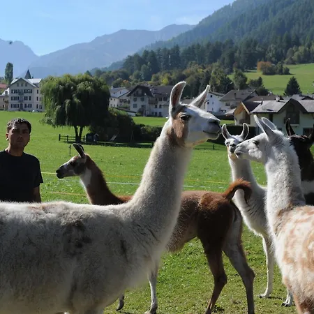 Daire Pauraria Puntetta Müstair
